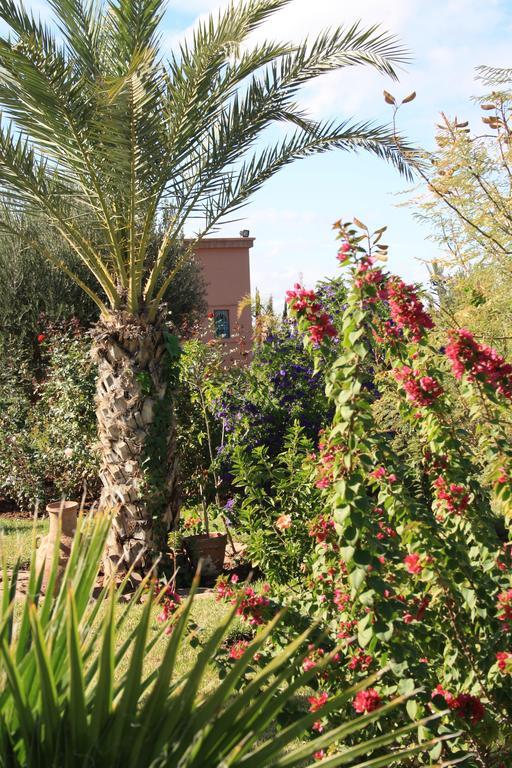 Bed and Breakfast Terra Mia Marrakech Ouled Jelal Exteriér fotografie