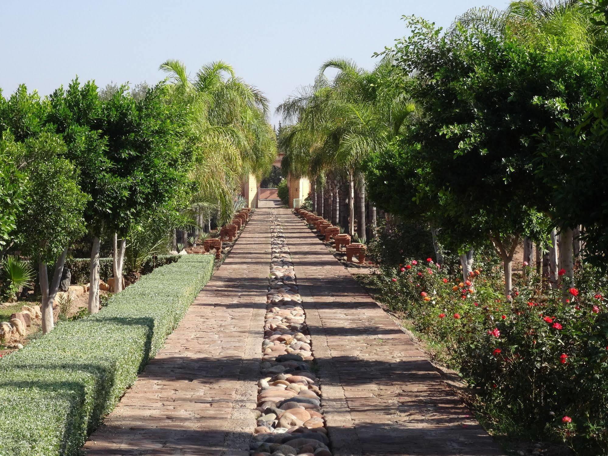 Bed and Breakfast Terra Mia Marrakech Ouled Jelal Exteriér fotografie
